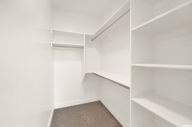 Primary Walk-in Closet