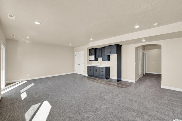 Downstairs Family Room w/Kitchenette
