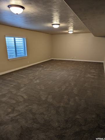 Downstairs family Room