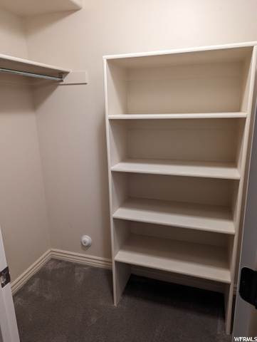 Down Bed Closet