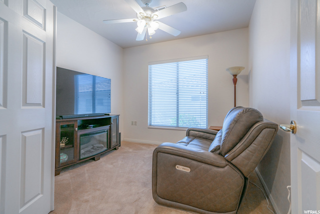 Den Used as TV Room
