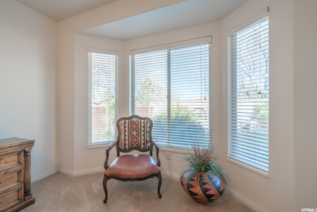 Bay Window in Master