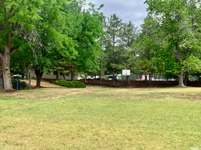 Lots of green space!