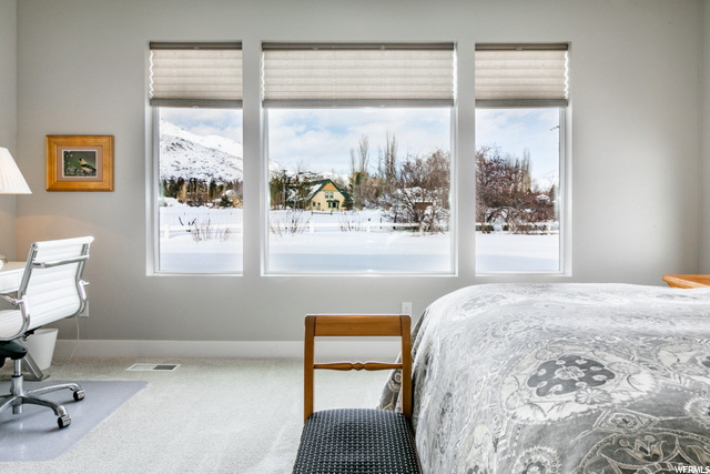 Master Bedroom View