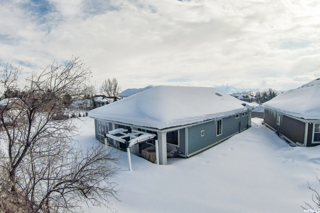 NE Back Yard