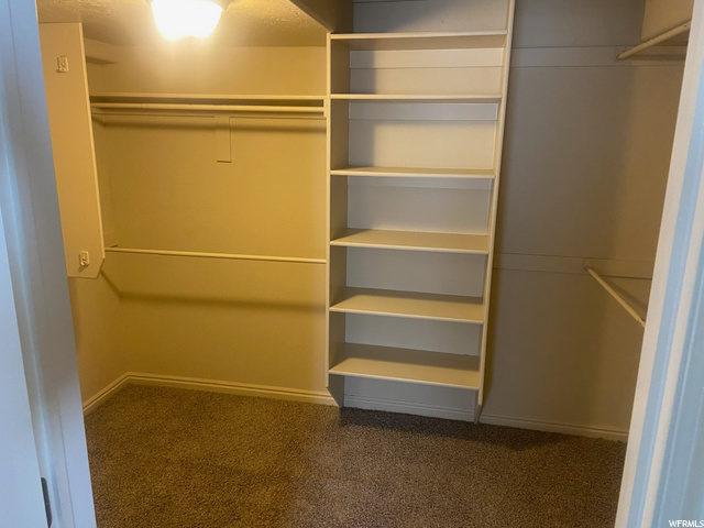 Basement Closet