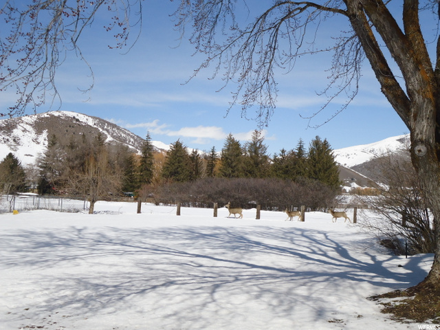 View of Mantua Lake from Back Yard