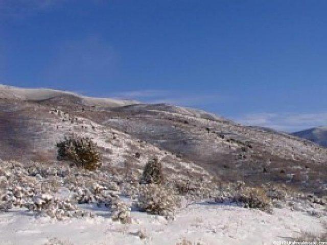 22 Sectiont5s R5e, Wallsburg, UT 84082 — photo 8