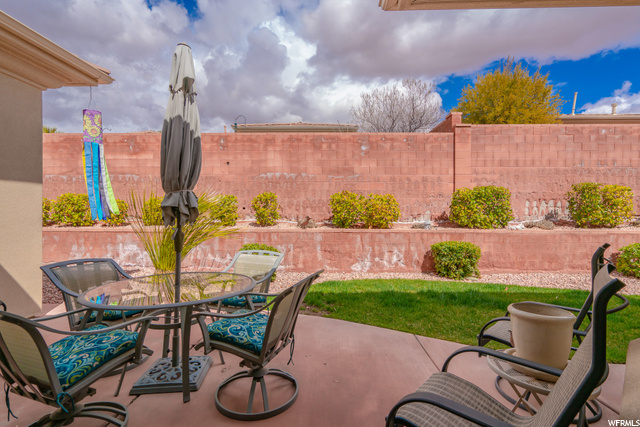 Patio & Back Yard