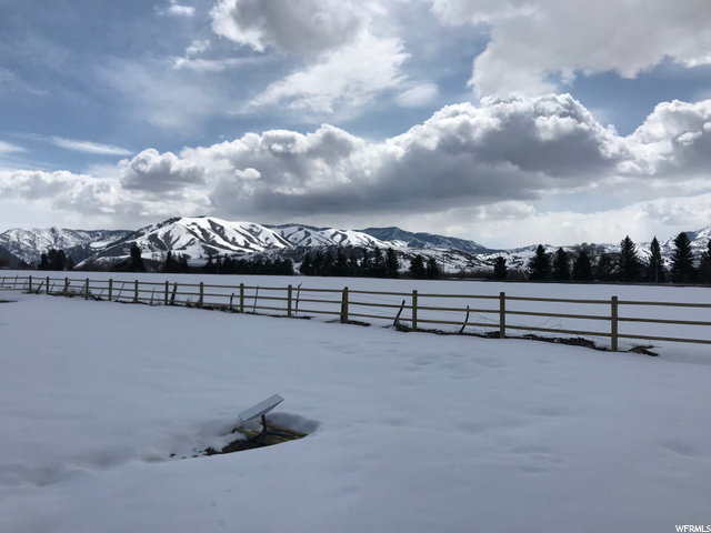 View back yard south