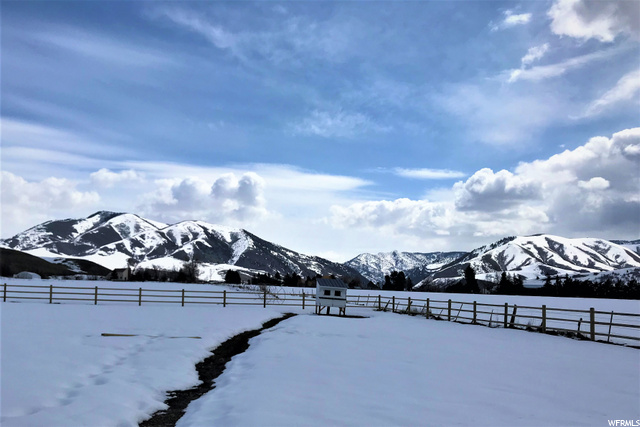 View from back yard