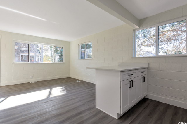 Kitchen Bar