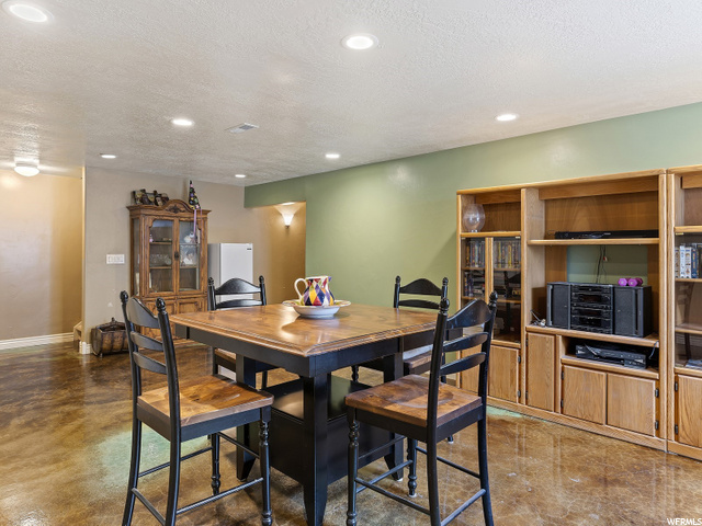Basement Living Room