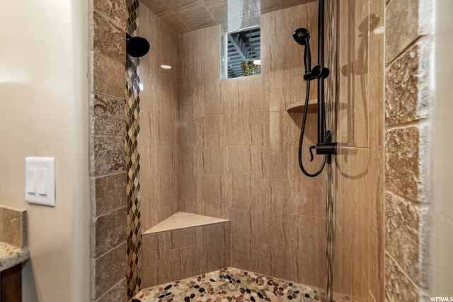 Primary Shower