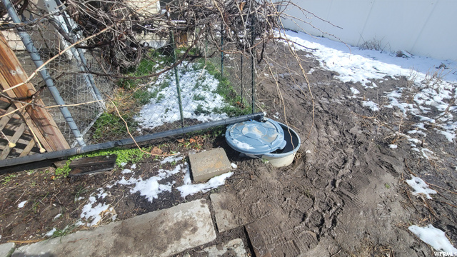 Artesian Well