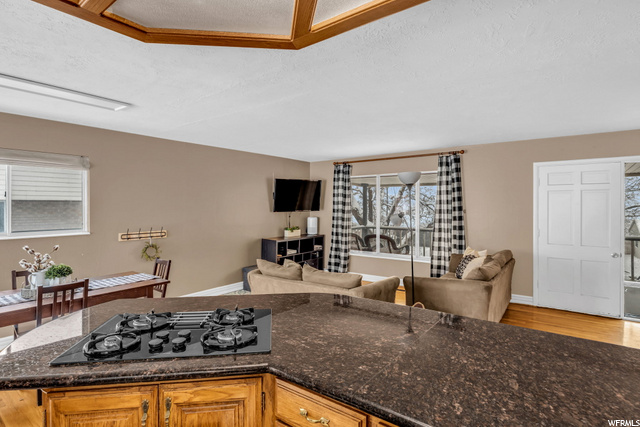 Large open entertaining space
