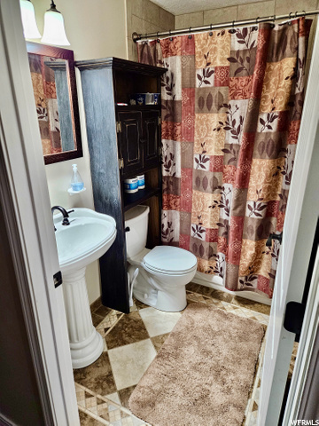 Lower Level Bath