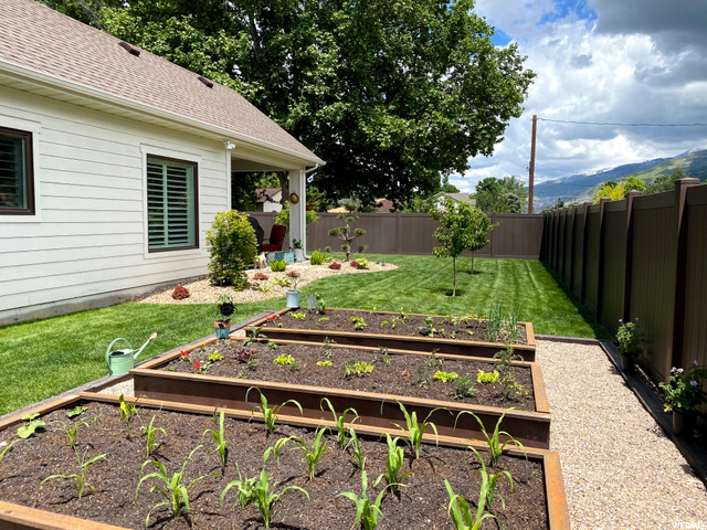 Garden Boxes