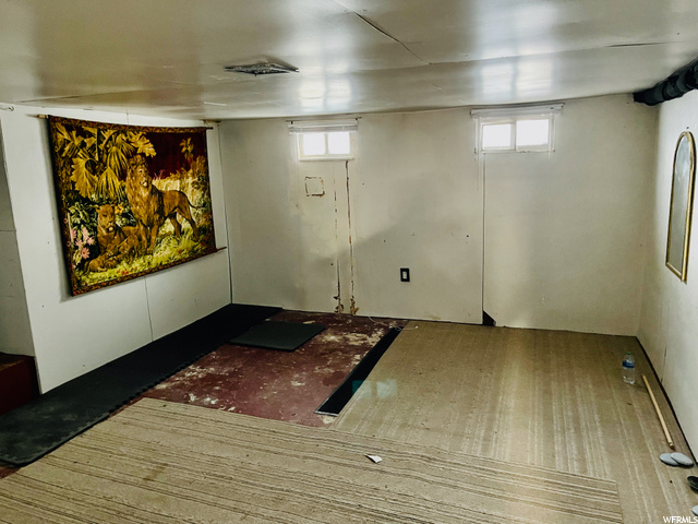 Unfinished Basement