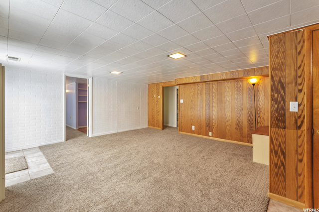 Basement Family Room