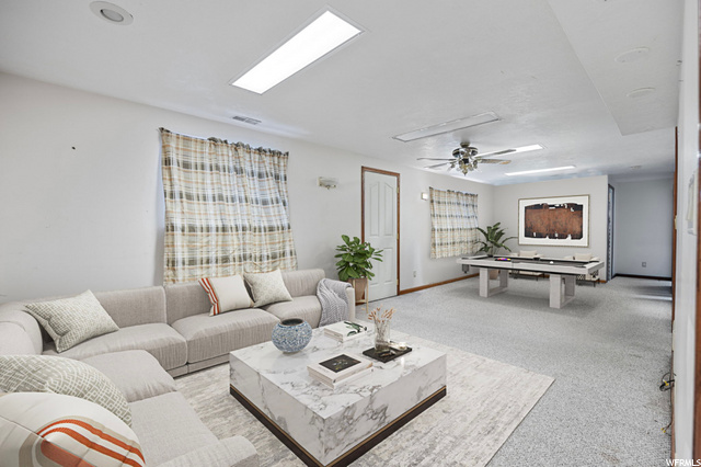 Basement Living Room
