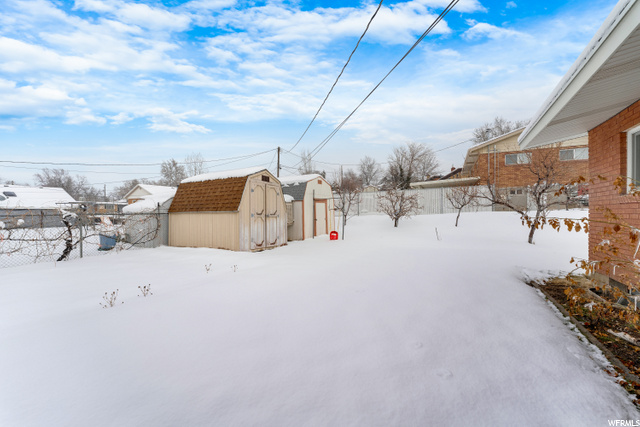 Storage sheds and back yard