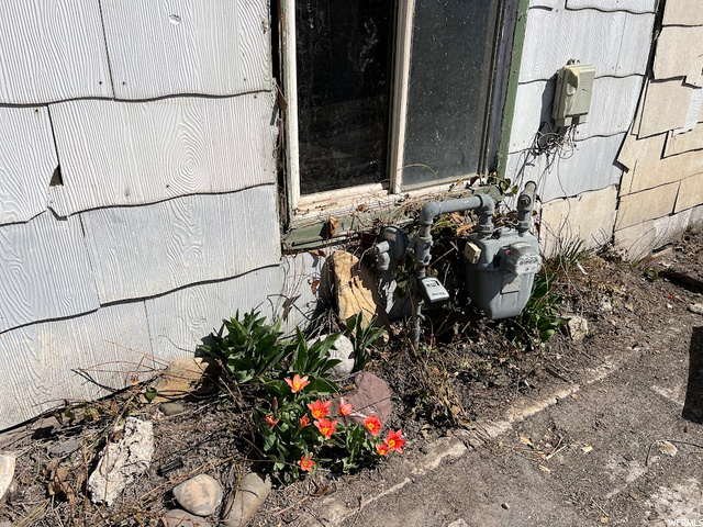 Gas Meter