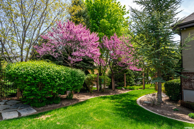 Mature Trees