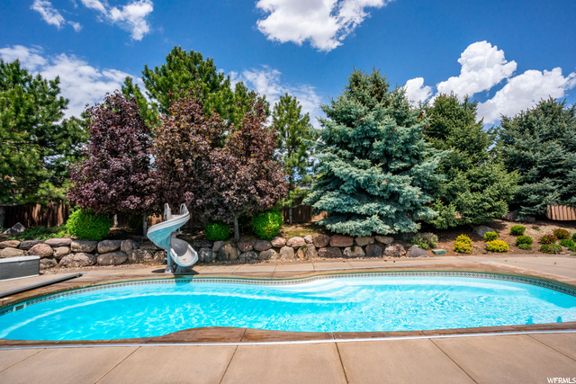 Large Pool