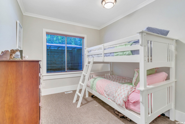 Basement Den