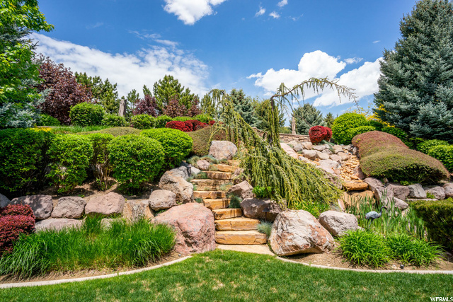 Water Feature