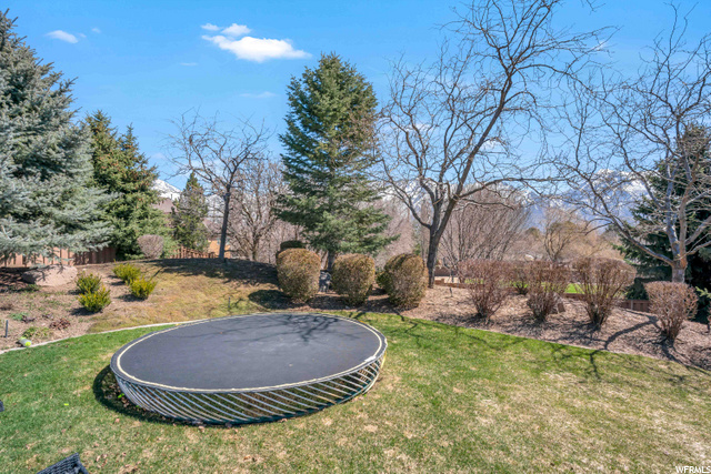 Trampoline