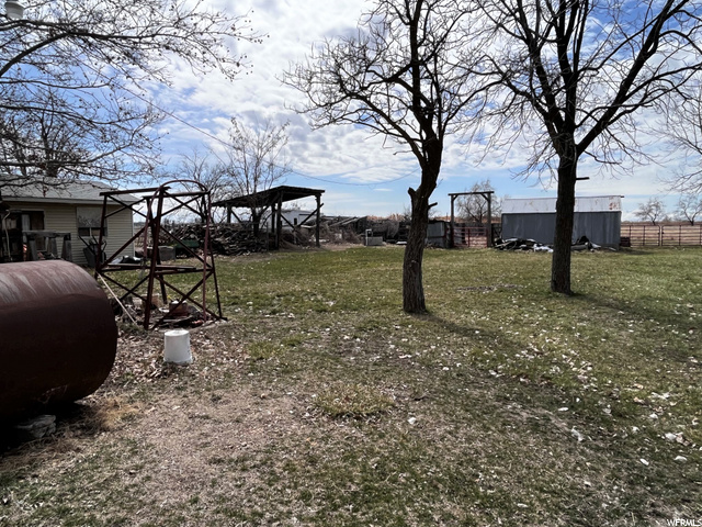 Large Lot