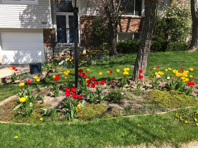 Spring