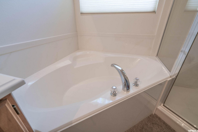 Master Tub
