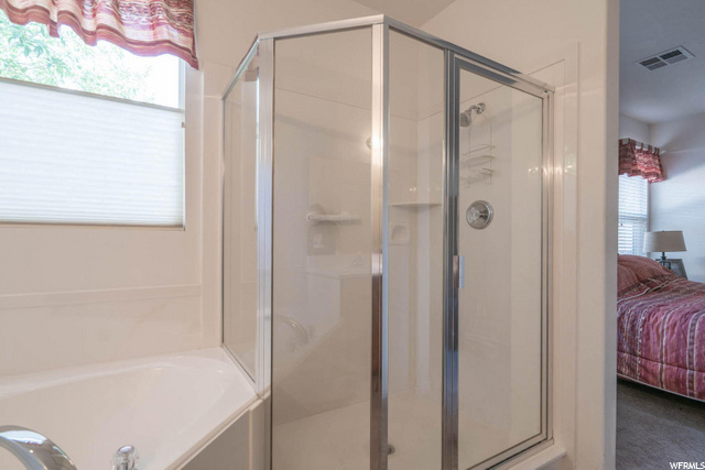 Master Shower
