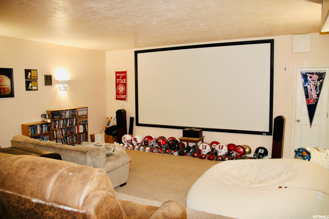 Theater Room
