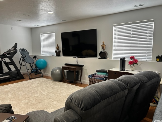 Basement Living Room