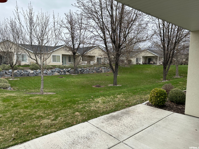 Open Green Space