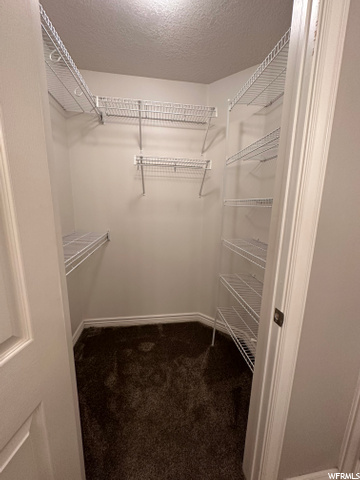 Master Walk-in Closter