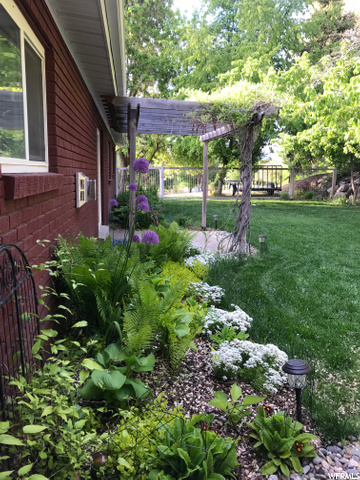 East backyard