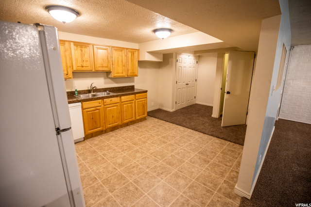 Basement Kitchen