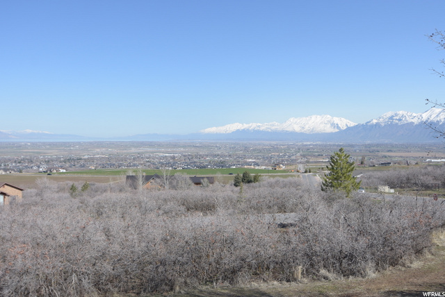 Northern Views