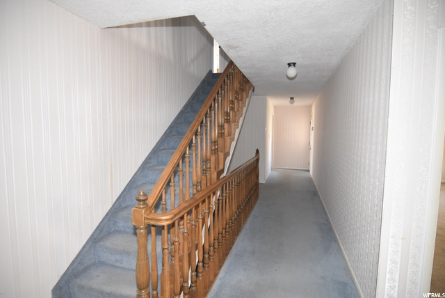 Main floor hallway