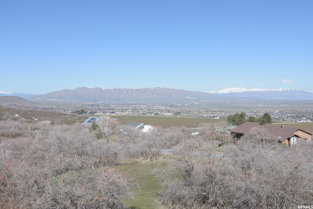 Northern Views