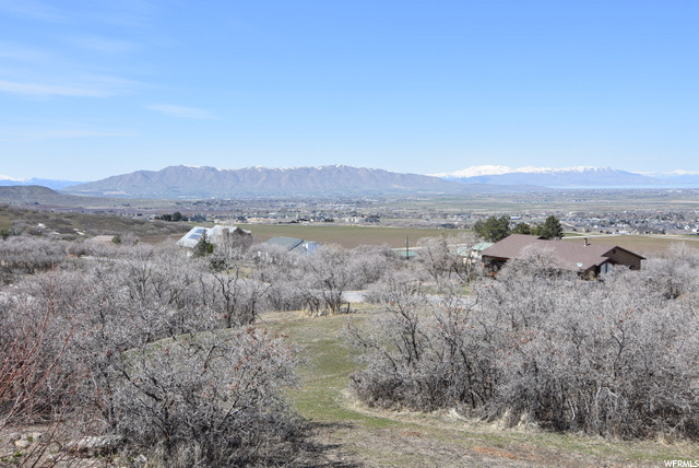 View from Deck