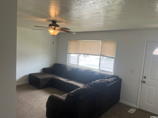 Large Livingroom  Lots of light