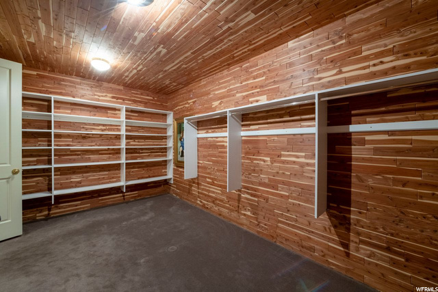 Lower Level Cedar Lined Closet
