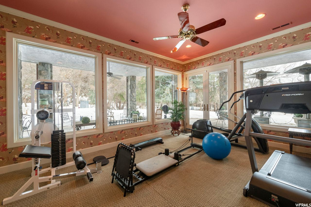 Lower Level Gym