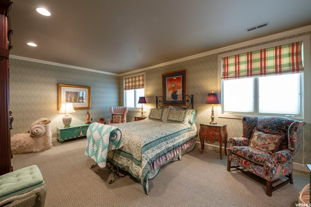 3rd Bedroom Lower Level